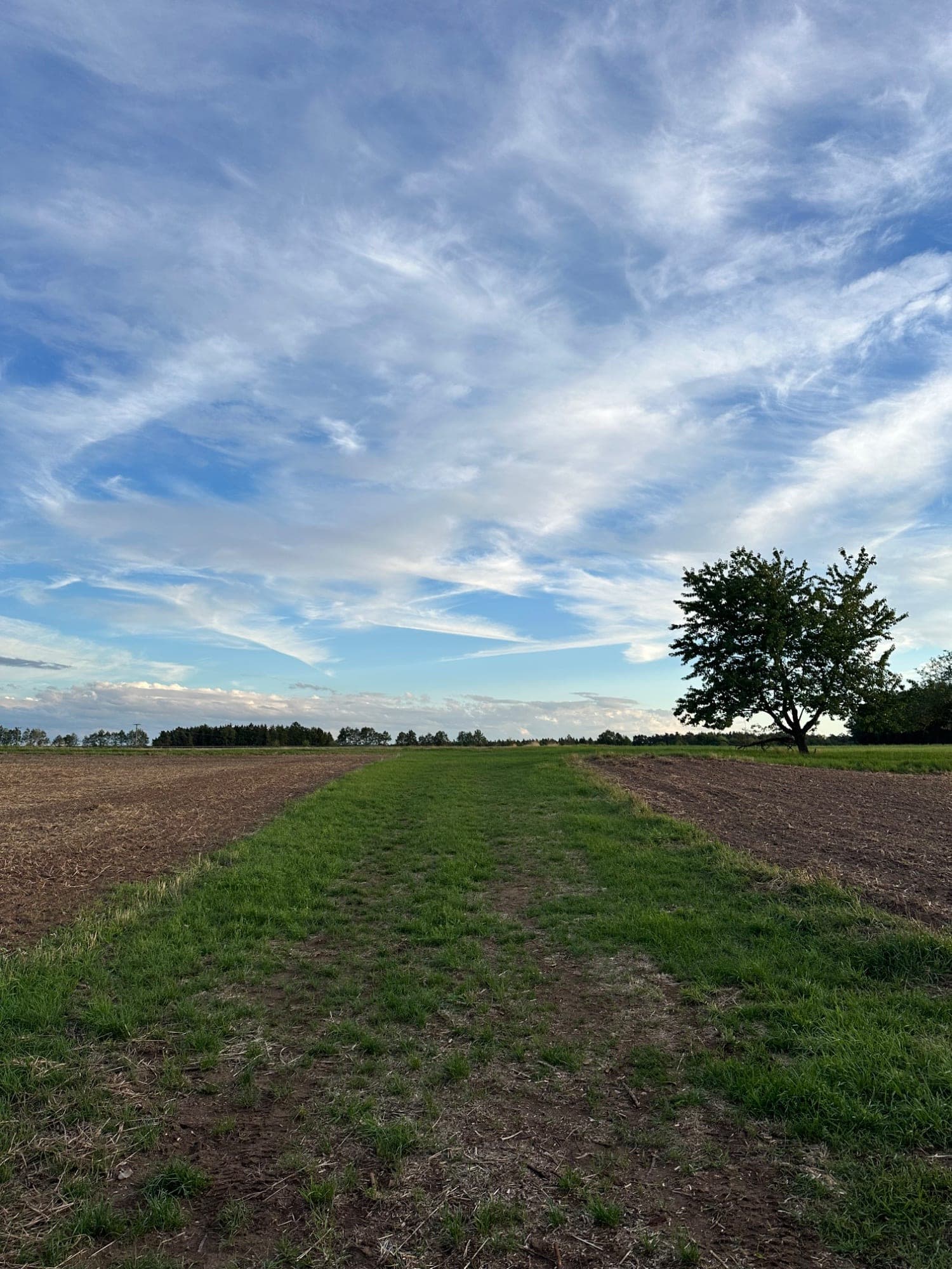 Trailrun